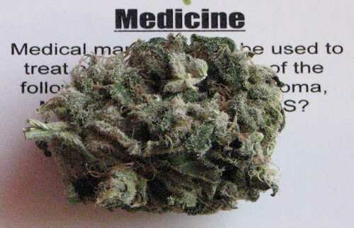 cannabis medicine