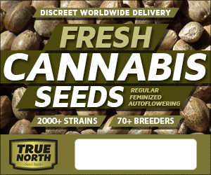 true north seedbank
